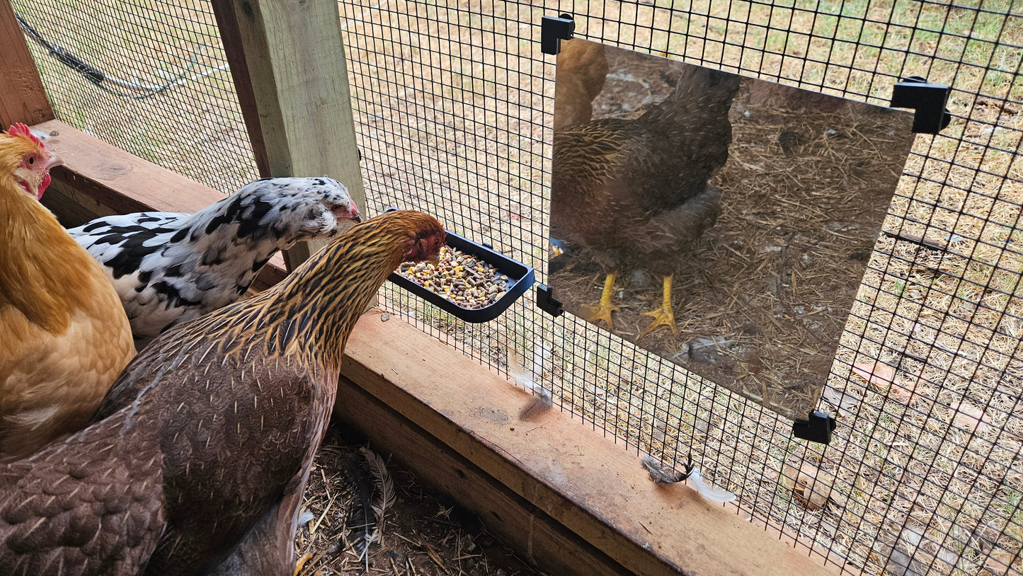 Chicken Treat Dish